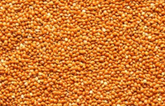 Braunhirse Bio