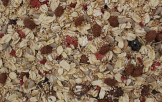 Müsli Amaranth-Beeren Bio