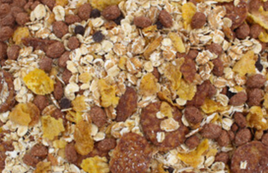 Schokomüsli Bio